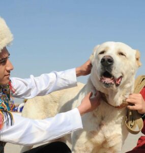 Президенту Туркменистана представили проект культурной программы на 2022 год