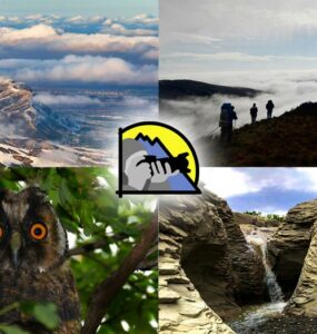 In Turkmenistan, the names of the winners of the photo contest "Agama. Among the peaks".