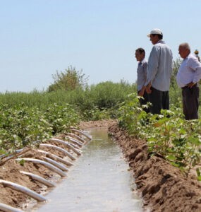 В вузах Туркменистана будут изучать управление водными ресурсами
