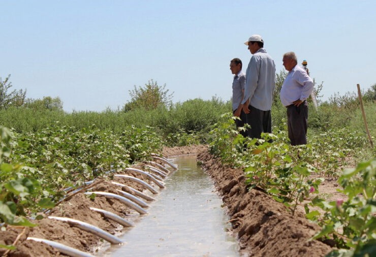 Turkmenistan's universities will study water resources management