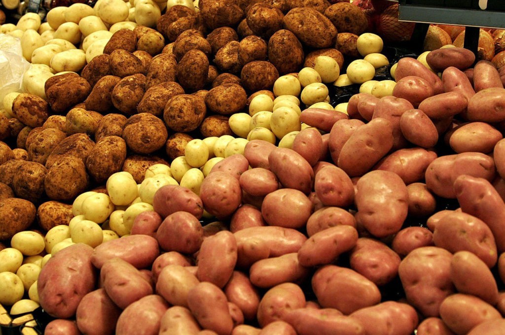 В Туркменистане планируют выращивать российский картофель