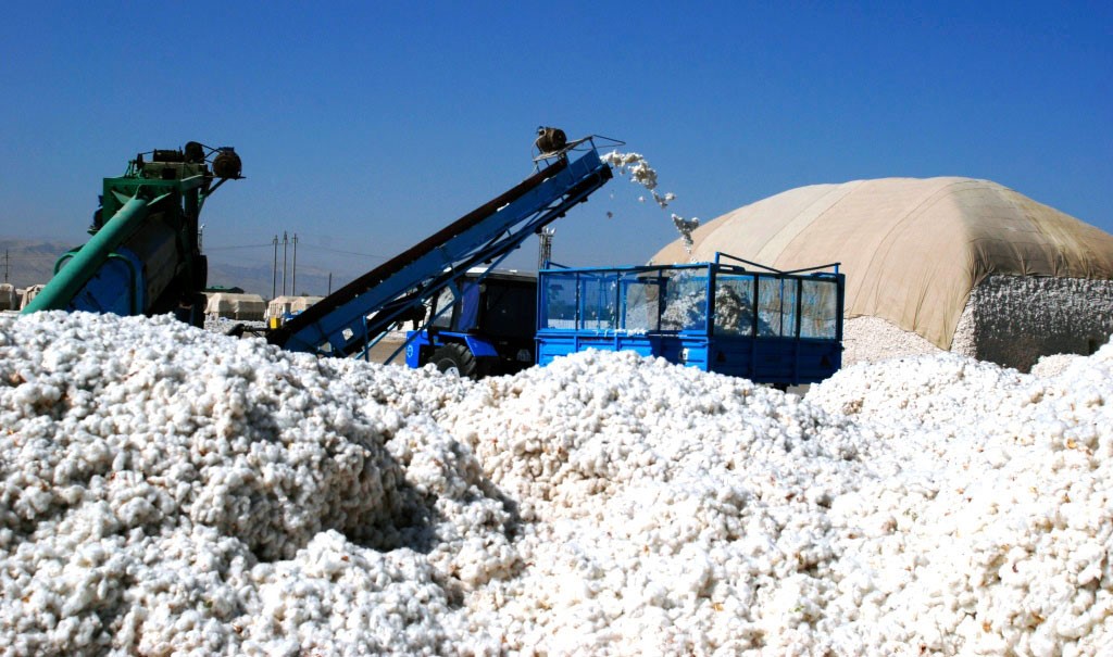 Новое производство пряжи в Туркменистане выходит на мировые рынки